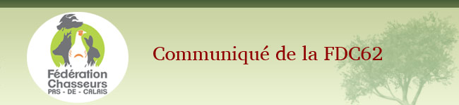 header-news