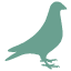 Déclaration de chasse du pigeon corneille corbeaux freux à poste fixe