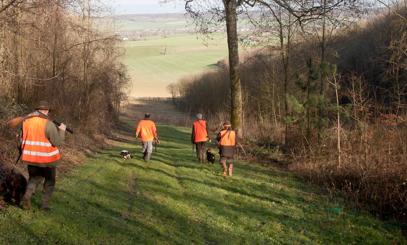 Fédération des chasseurs du Pas-de-Calais 62 Fédération des chasseurs du Pas-de-Calais 62
