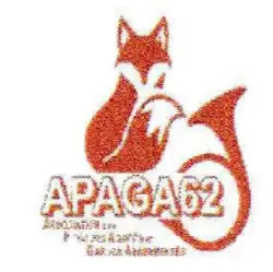 APAGA62