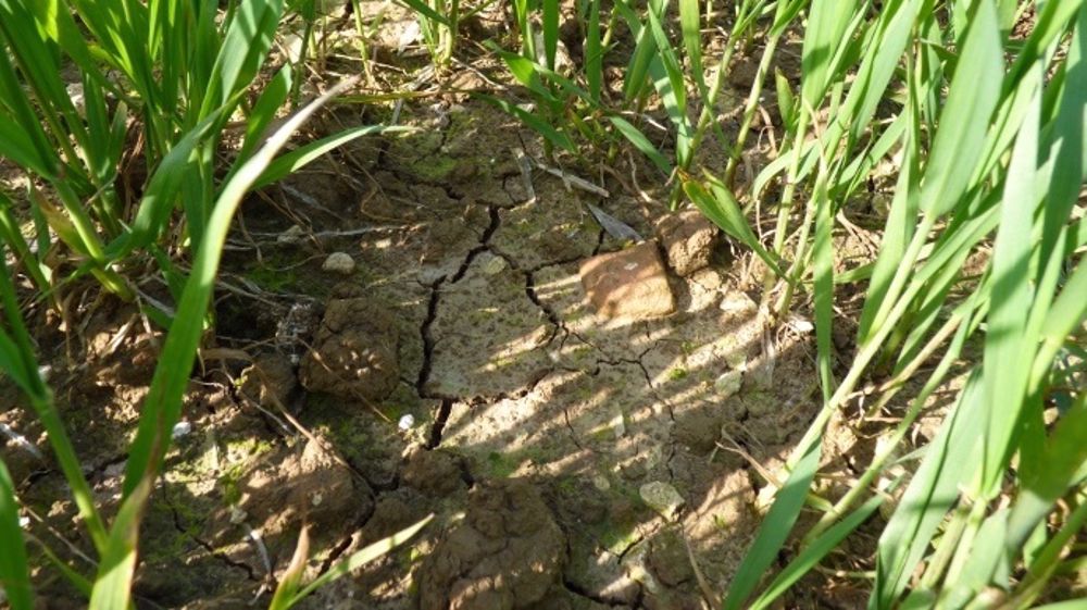 Vigilance sécheresse dans le département